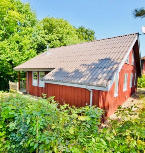 Premium-Ferienhaus Extertal Ferienpark - Natur Erholung Sauna Familie